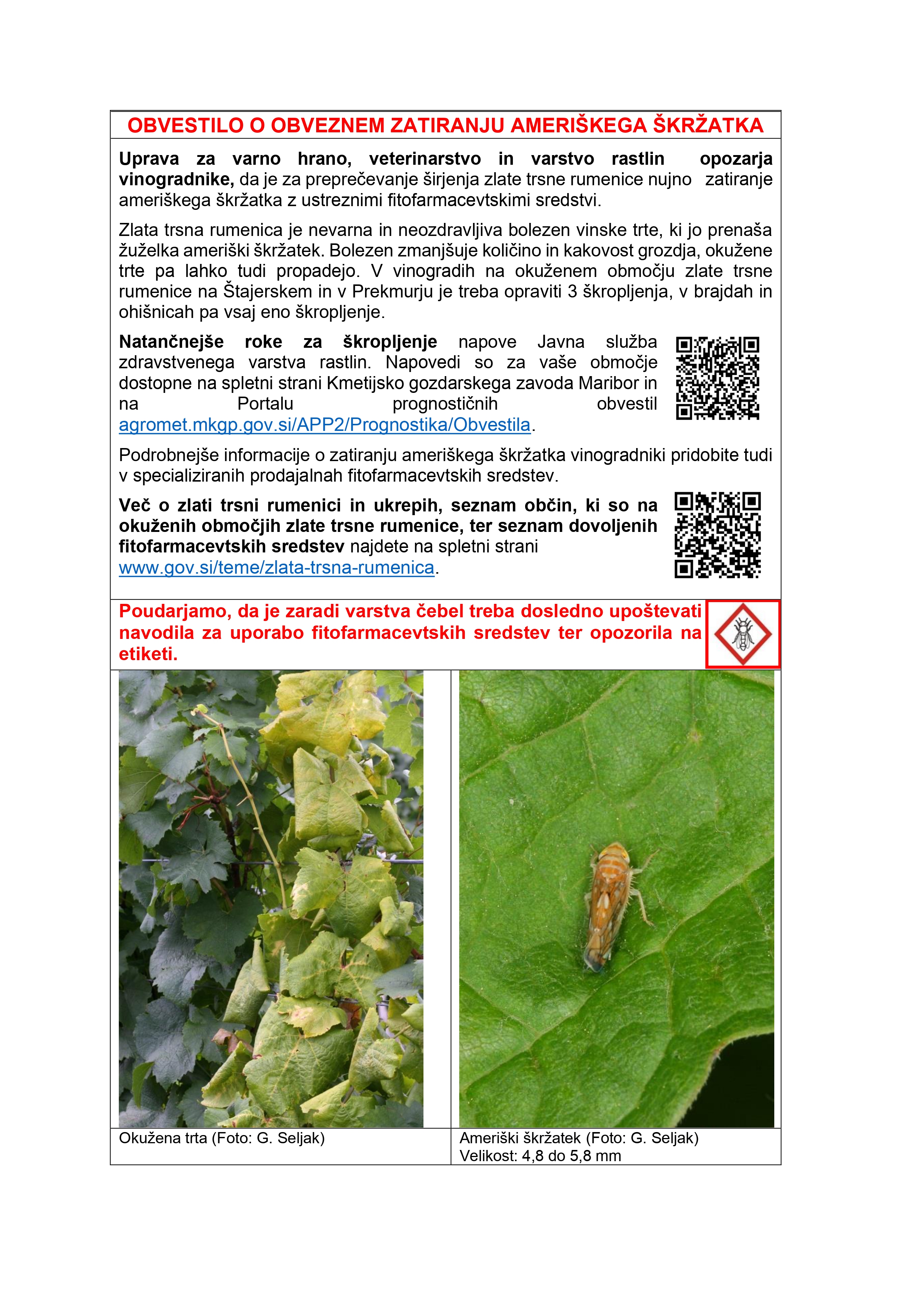 Oglas zlata trsna rumenica-jun24-SV-SLO-okuzeno_page-0001